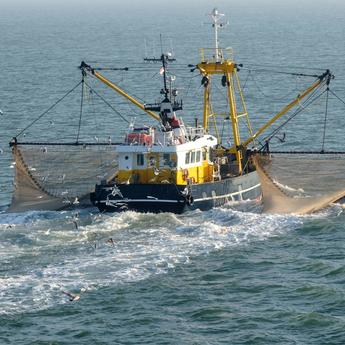 Fishing boat on sea