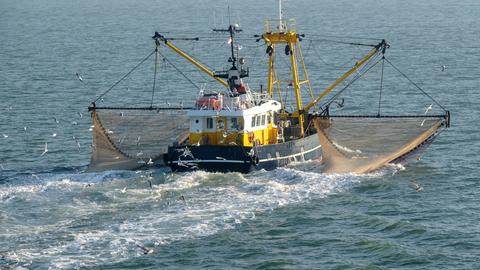 Fishing boat on sea