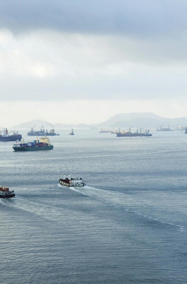 Several types of vessel on sea