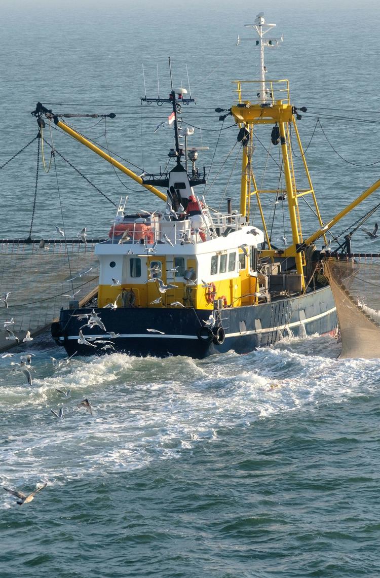 Fishing boat on sea Fishing boat on sea